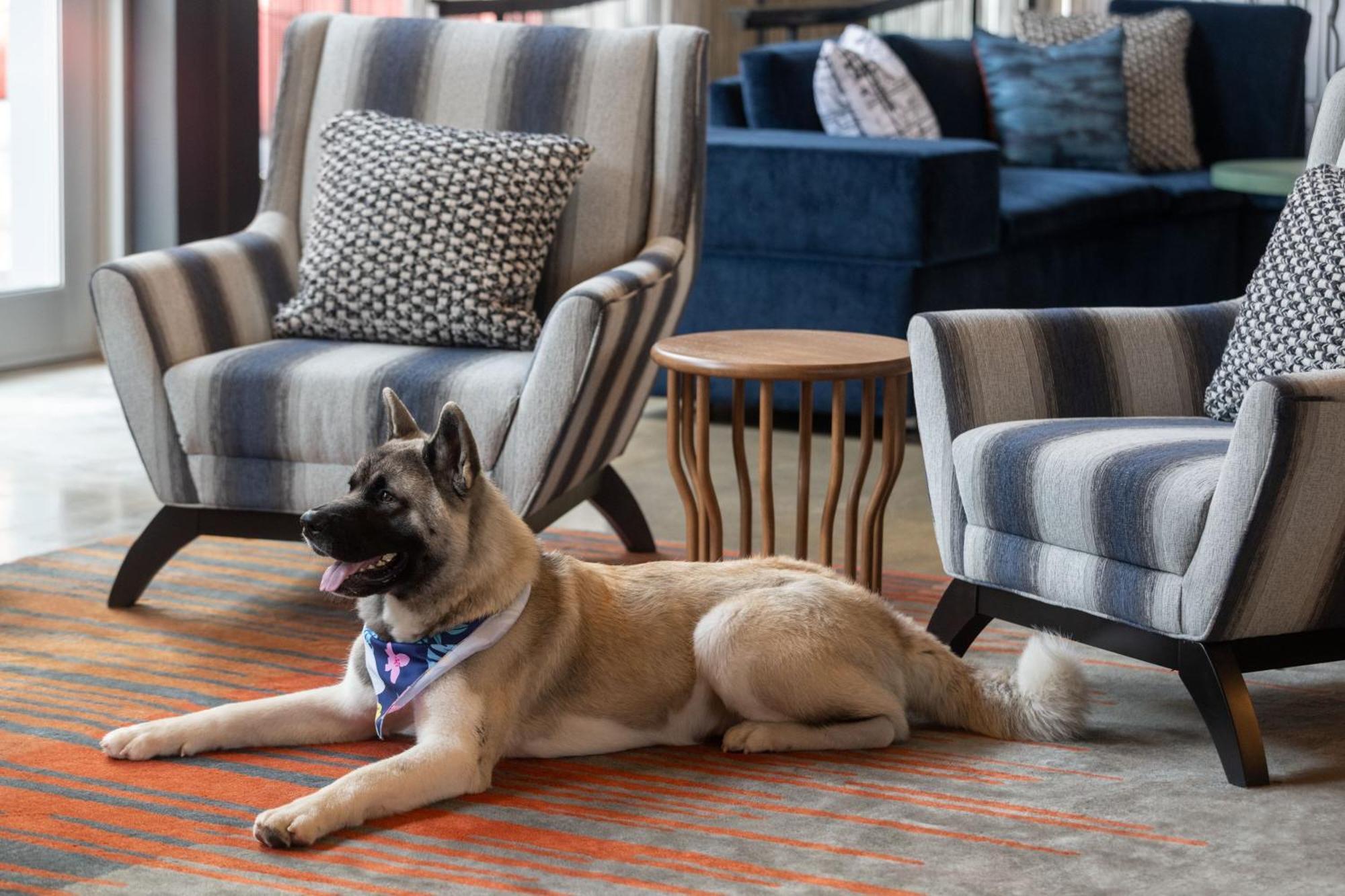 Aloft Beachwood Eksteriør billede